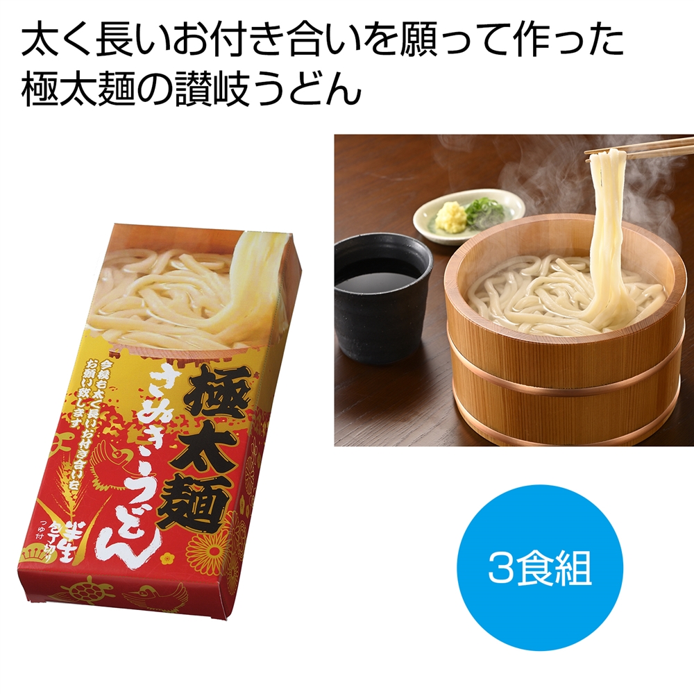 太く長いおつきあいを 極太麺さぬきうどん3食組