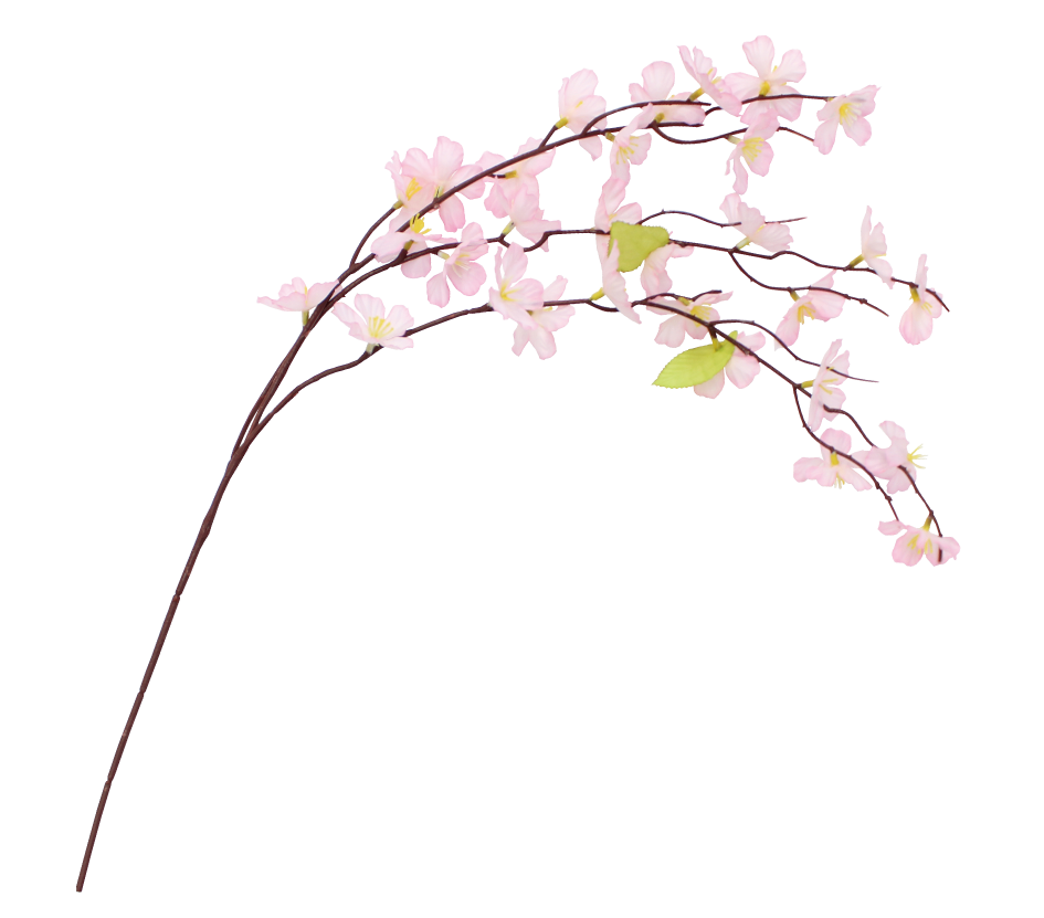 ミニシダレ桜