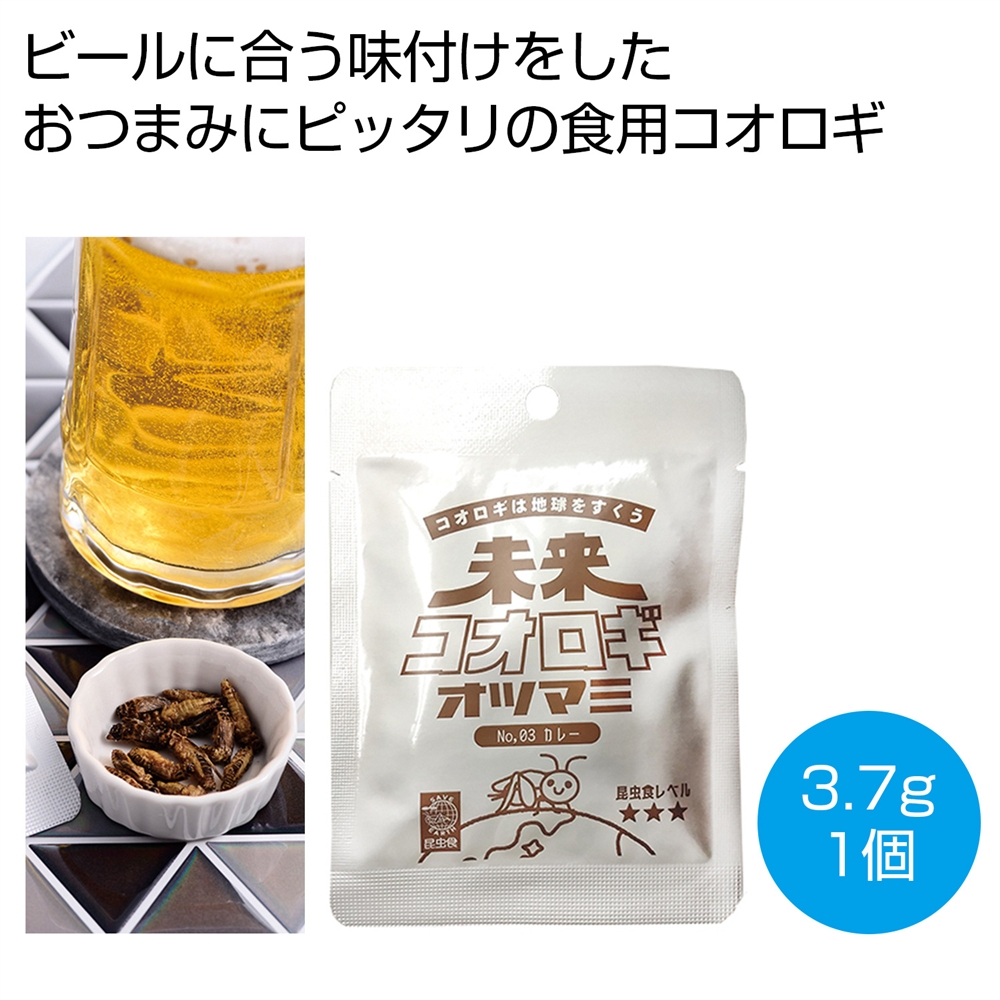 未来コオロギ　オツマミ　カレー３．７ｇ