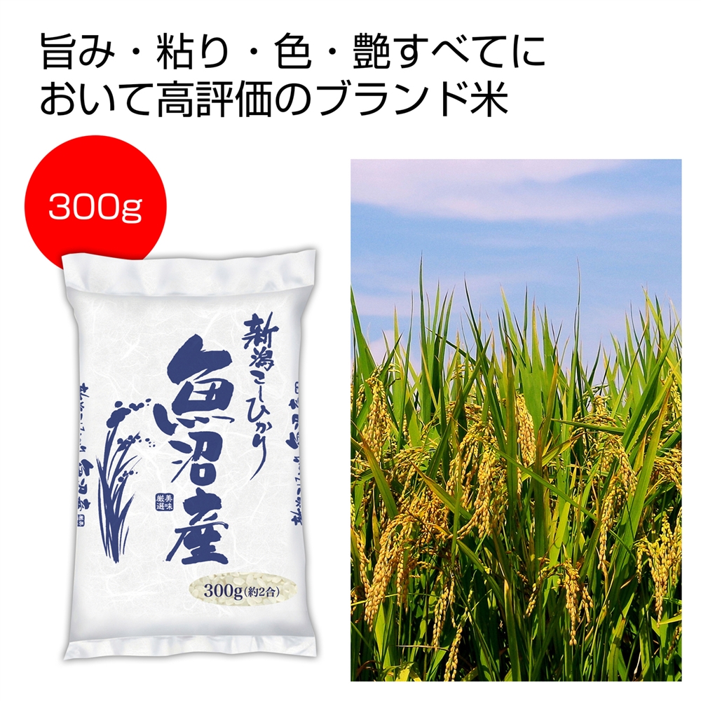 新潟魚沼産こしひかり３００ｇ