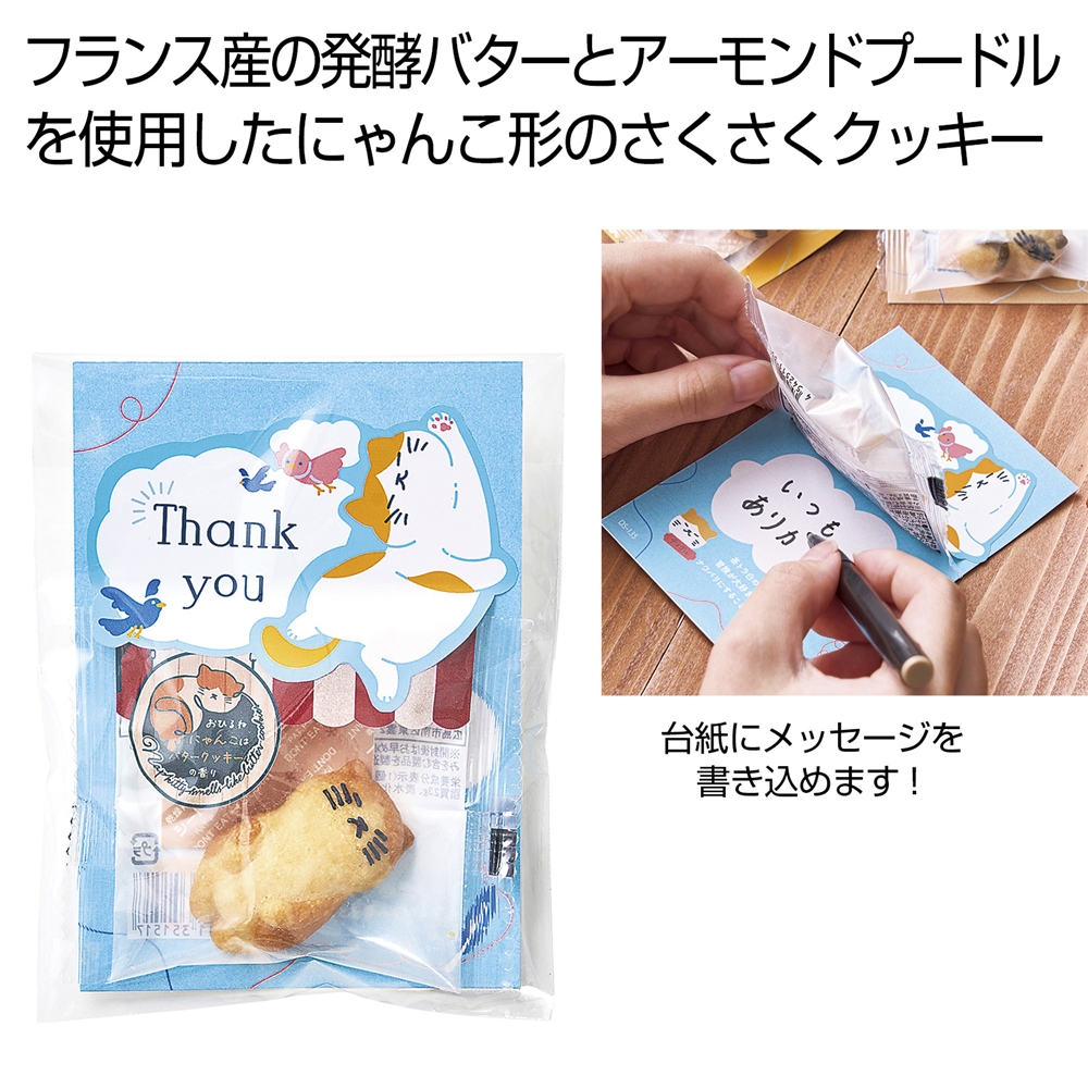 おひるねにゃんこはバタークッキーの香り【Ｔｈａｎｋｙｏｕ】ティグル（茶トラ白）