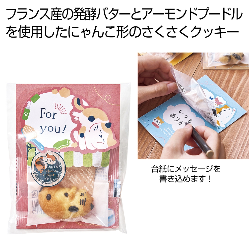 おひるねにゃんこはバタークッキーの香り【Ｆｏｒｙｏｕ】ミミ（三毛）