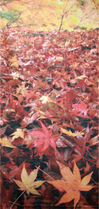 タペストリー 紅葉じゅうたん