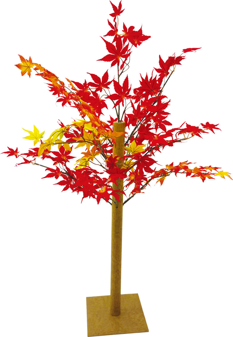 紅葉立木スタンド