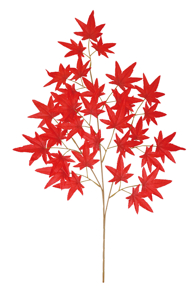 スプレイ紅葉 レッド