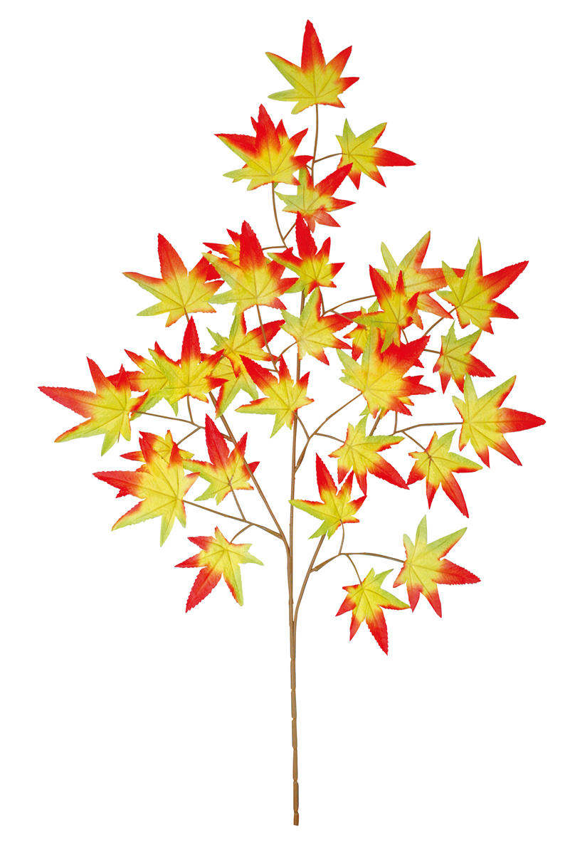 スプレイ紅葉 オレンジ