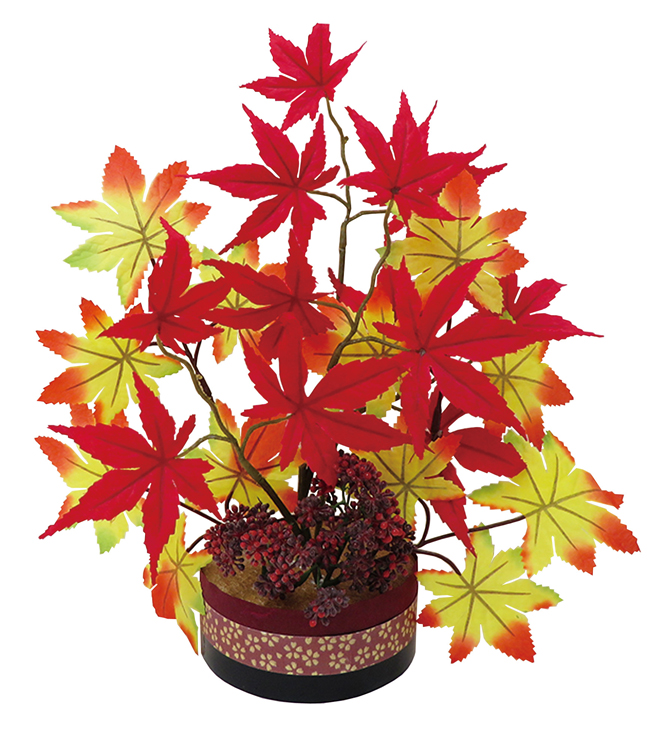 紅葉ポット