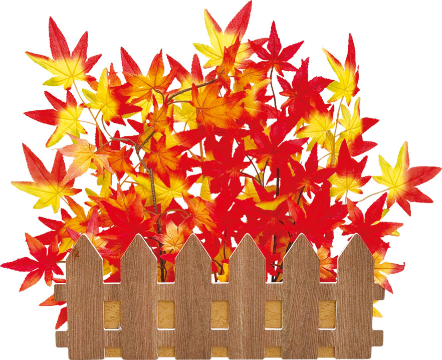あざやか紅葉垣根