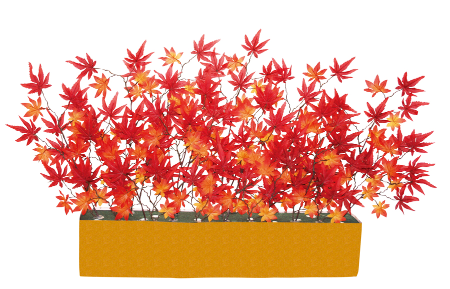 ワイドスタンド紅葉