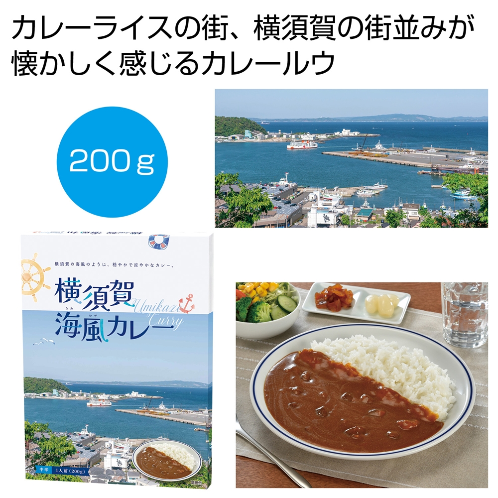 横須賀　海風カレー２００ｇ（１食）