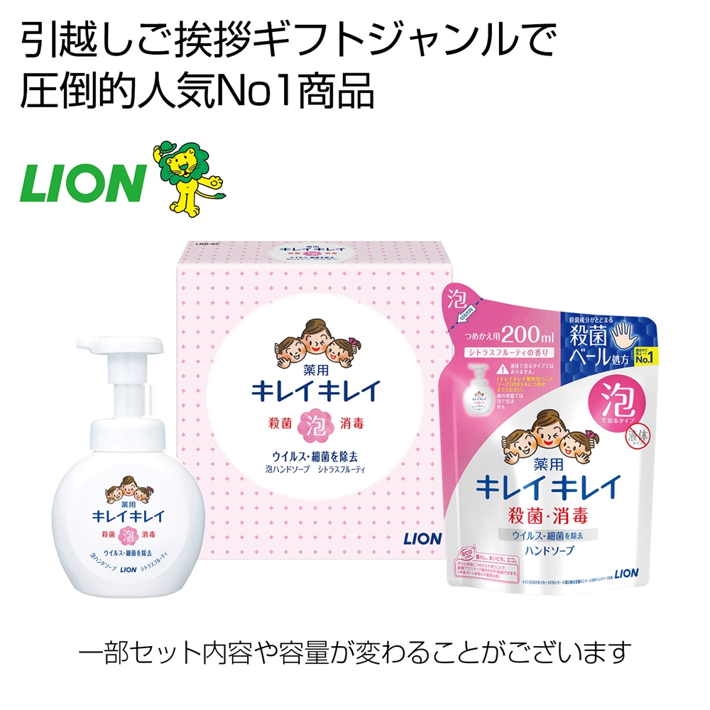 キレイキレイ泡ハンドソープ２点セット【１０カートン以上】