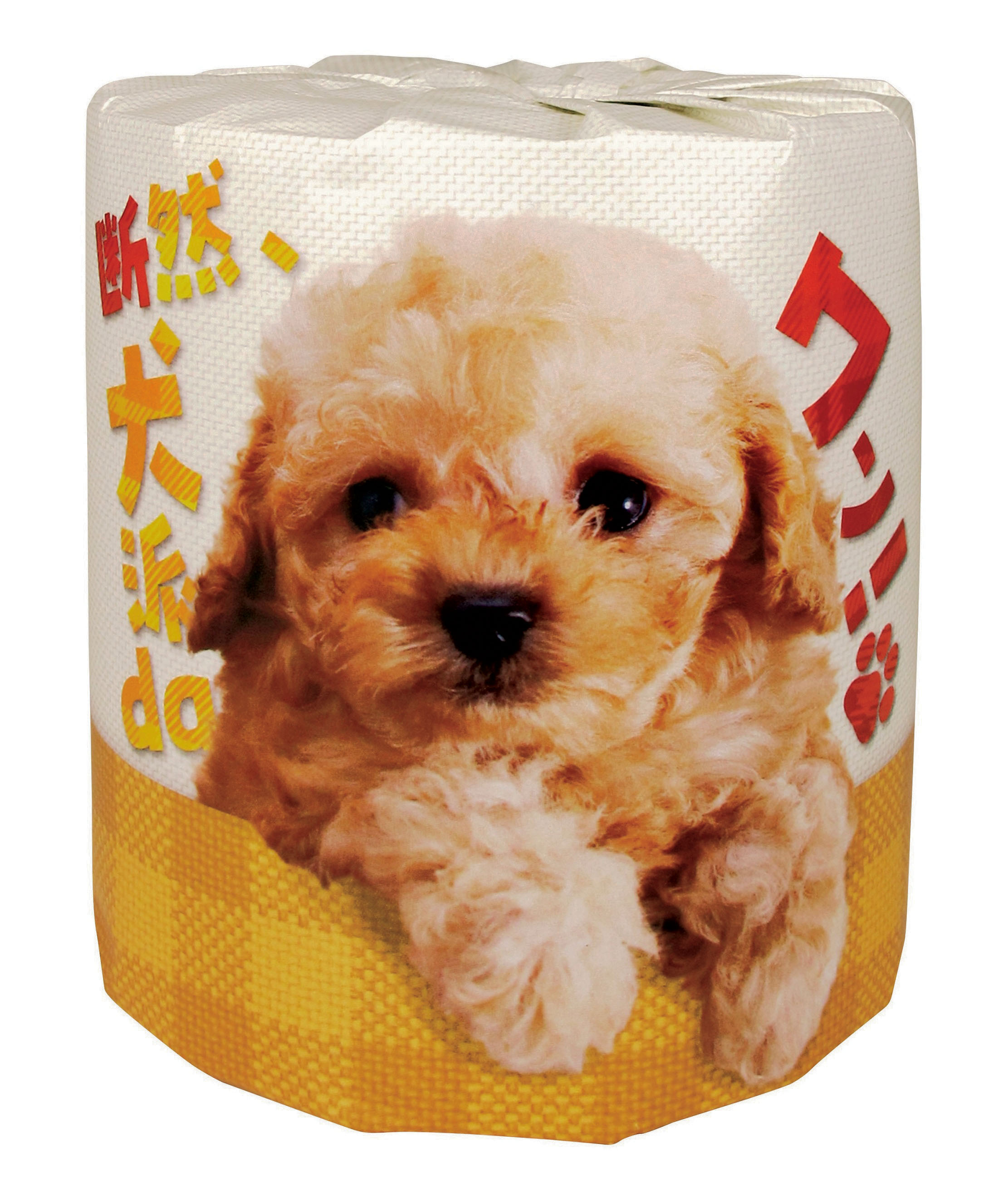 断然、犬派daワン!