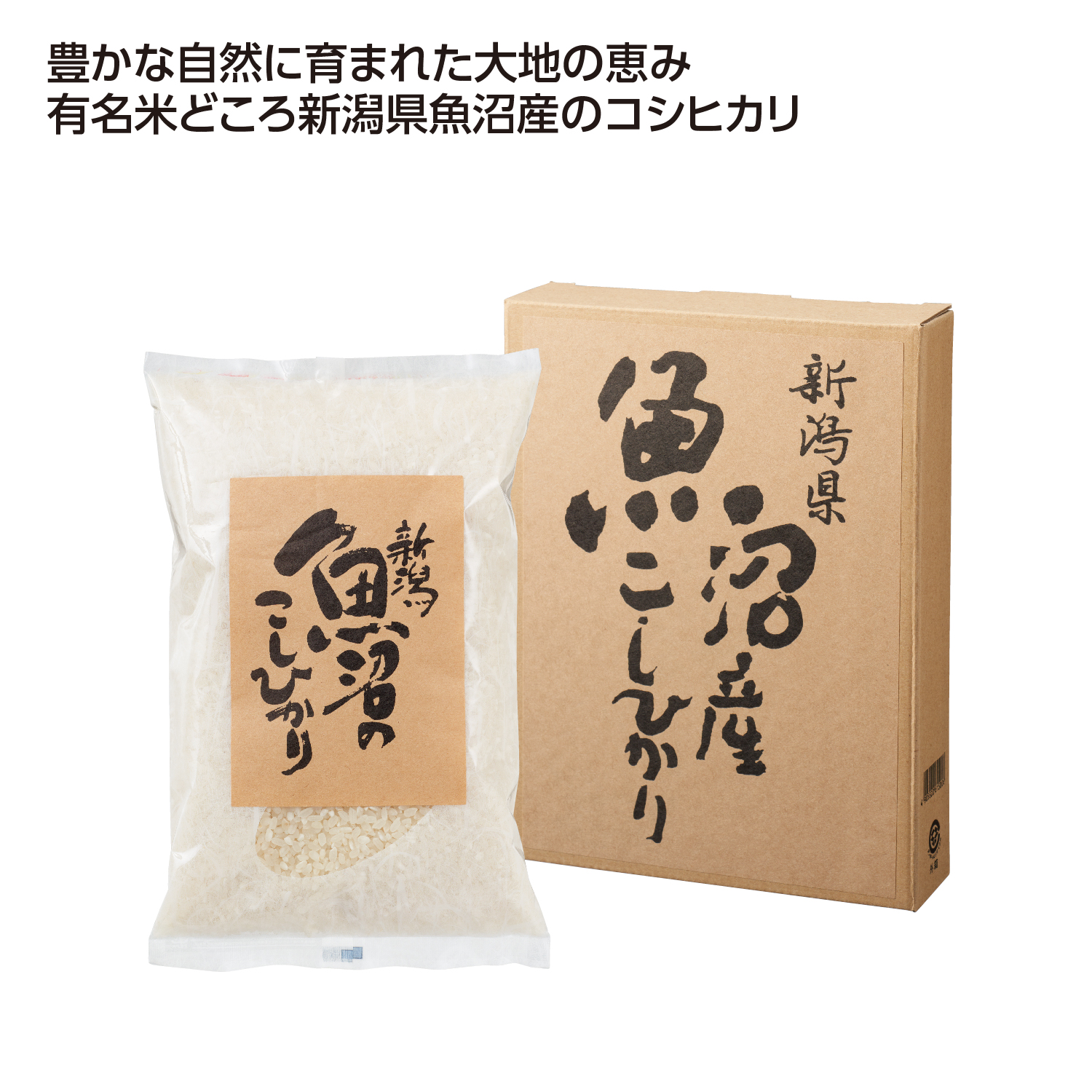 新潟魚沼産こしひかり700g