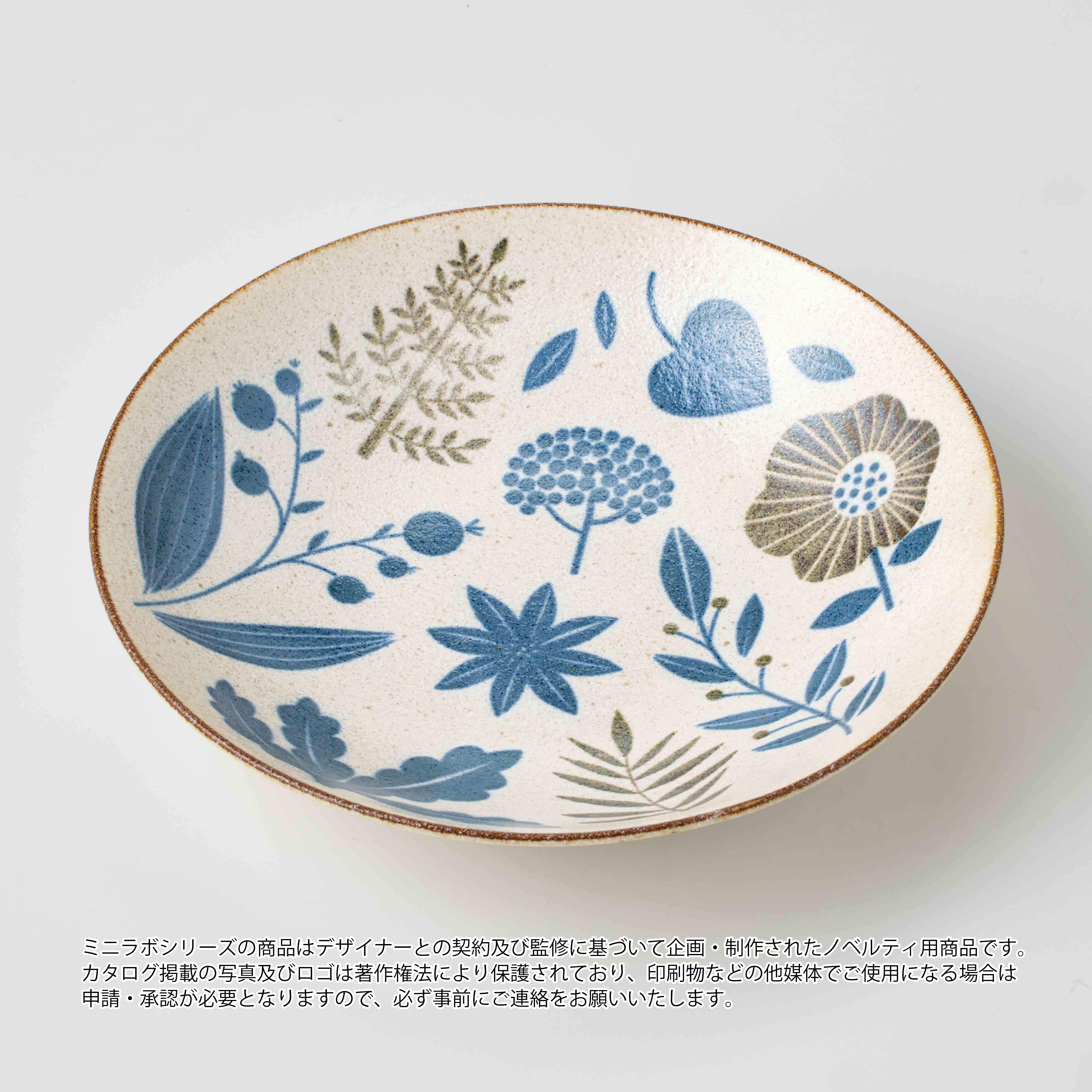 ミニラボ／オーガニックパスタ皿