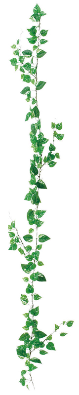 ミニリーフガーランド ポトス