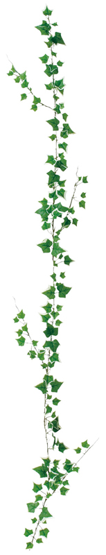 ミニリーフガーランド オランダアイビー