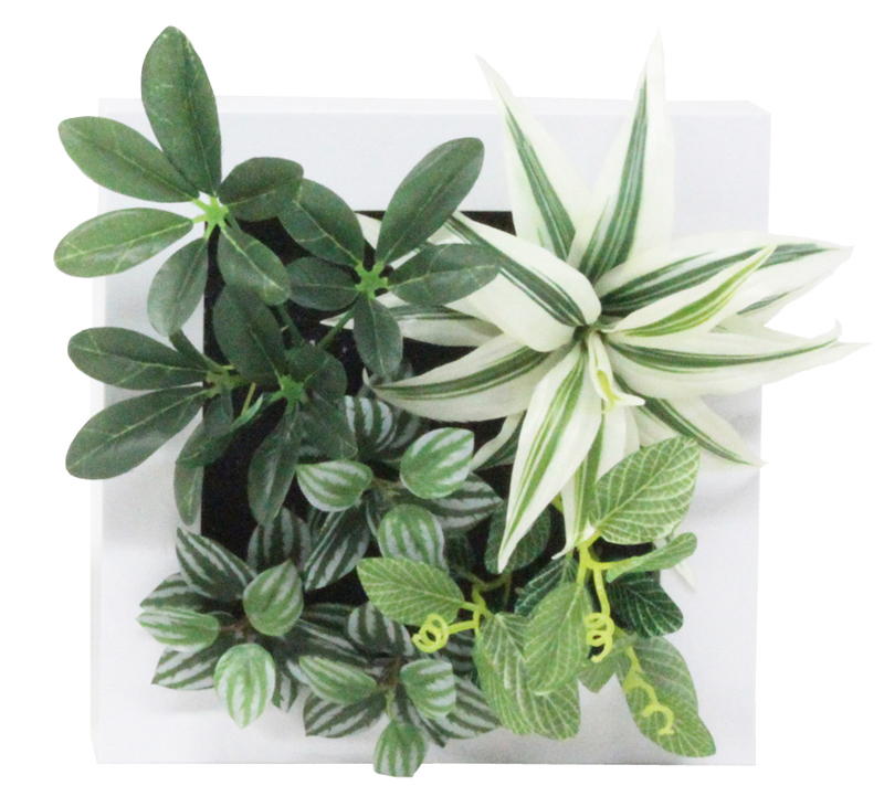 フレームグリーン B