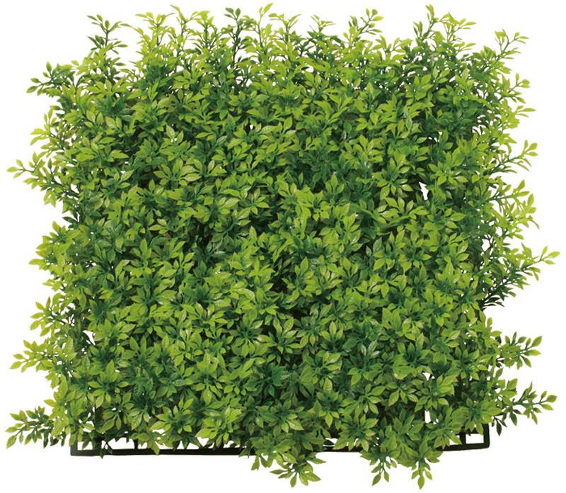 スクエアグリーンマット ティーリーフ