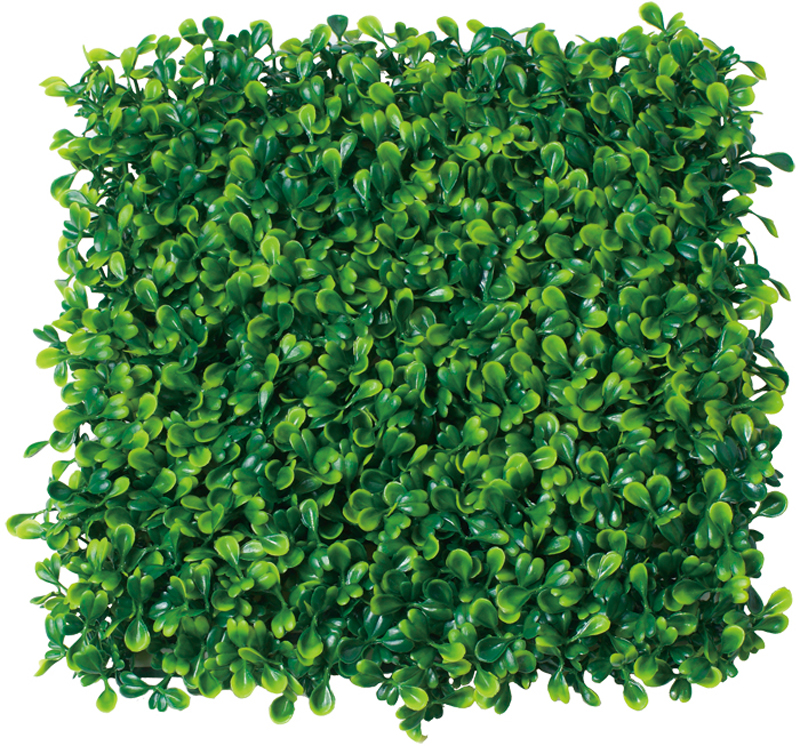 スクエアグリーンマット ボックスウッド