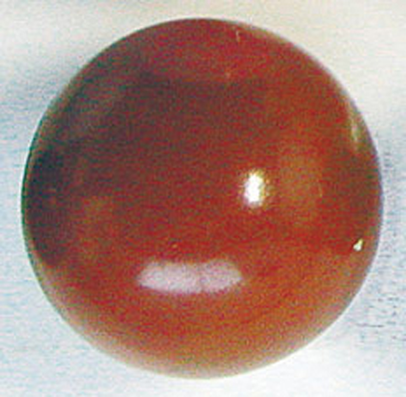 抽選球カラー 茶 約100球袋入