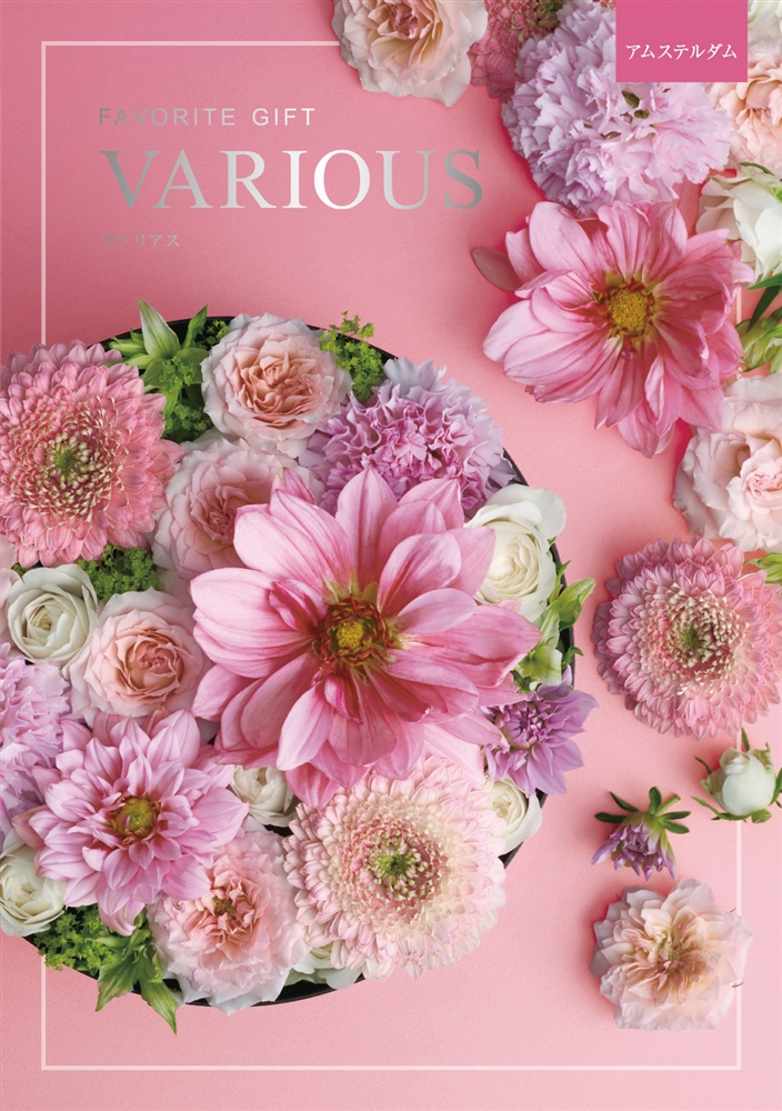 ヴァリアス【アムステルダム】