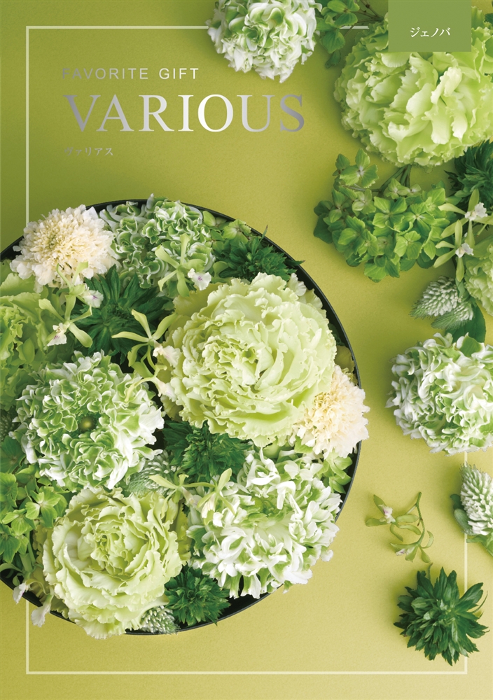 ヴァリアス【ジェノバ】