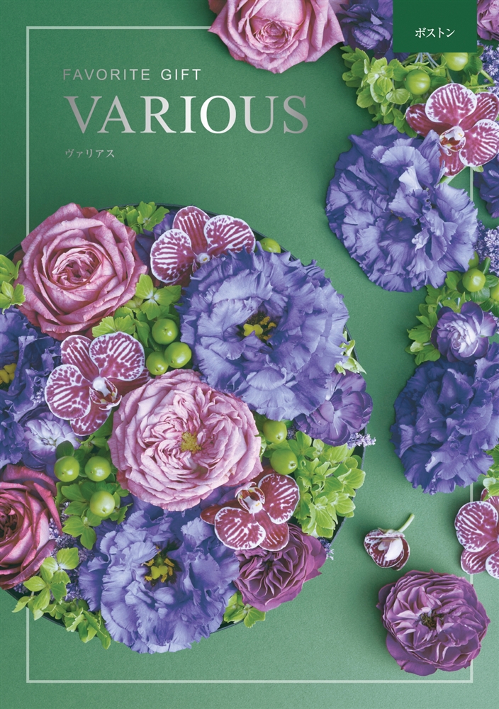 ヴァリアス【ボストン】