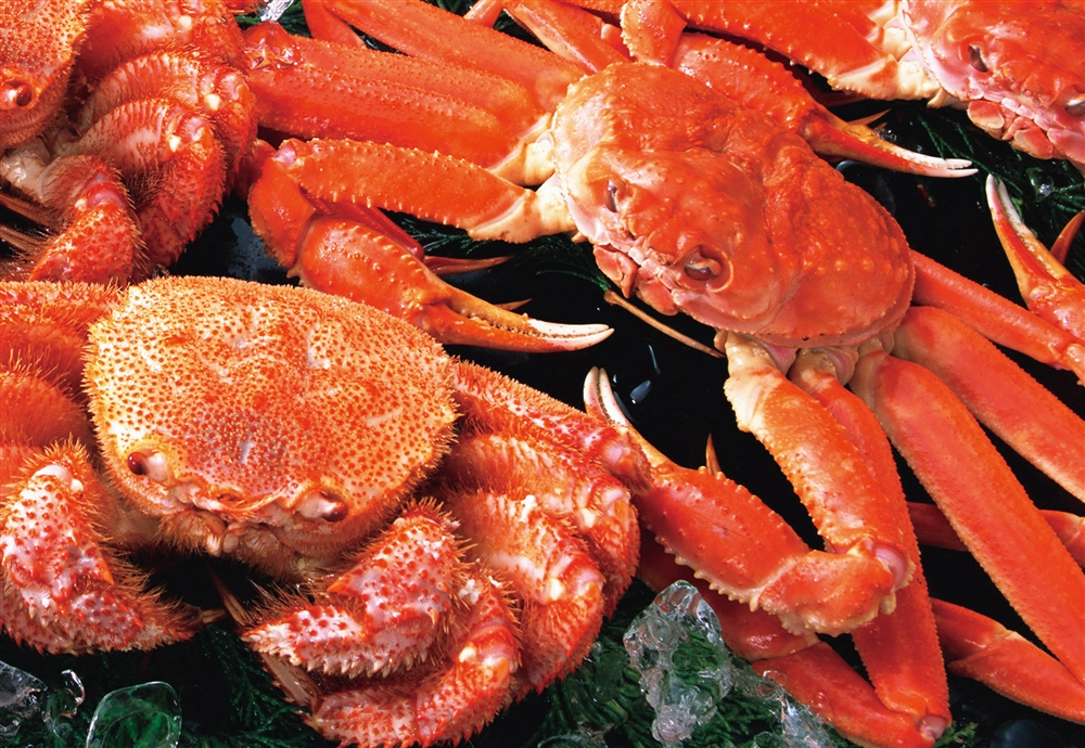 北海かにくらべ2杯