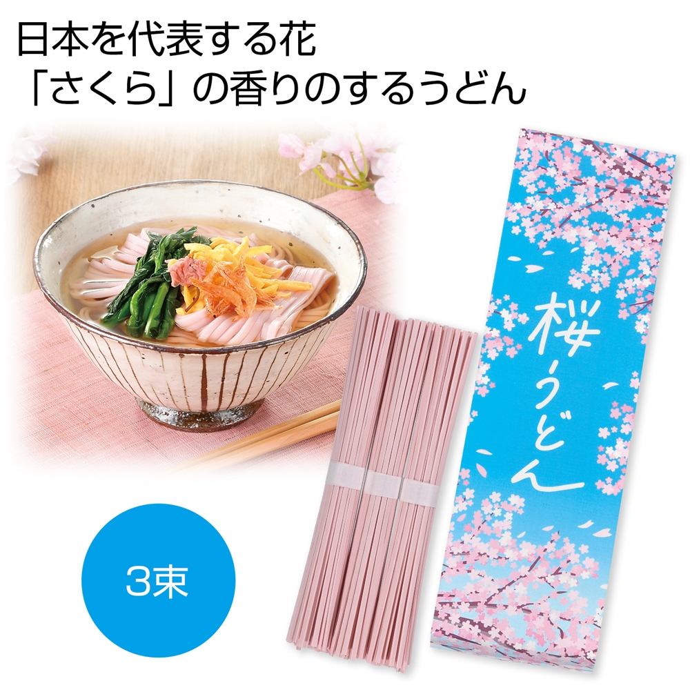 桜うどん3束