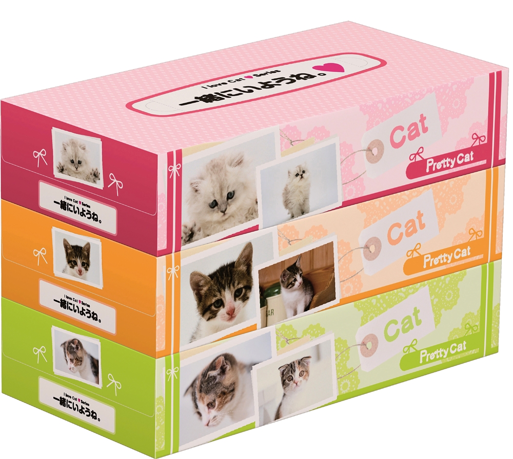 プリティキャットBOXティッシュ130W3個組