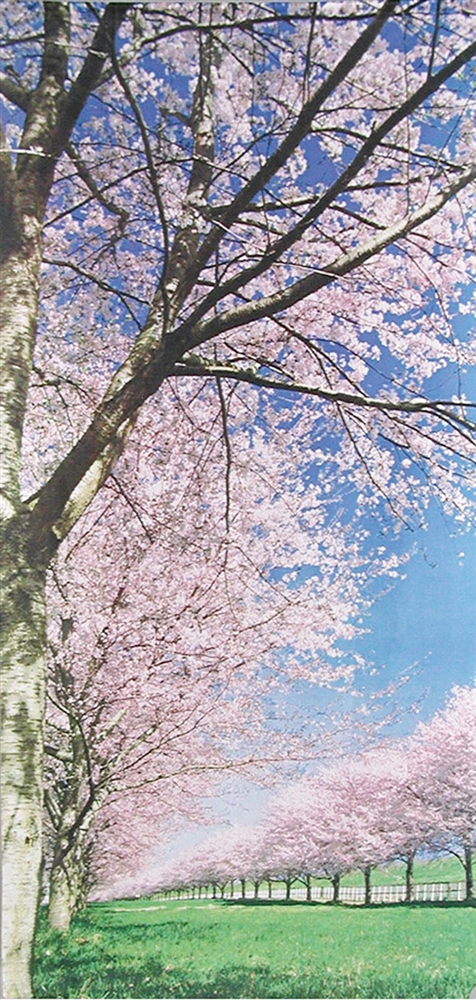 桜装飾4点セット