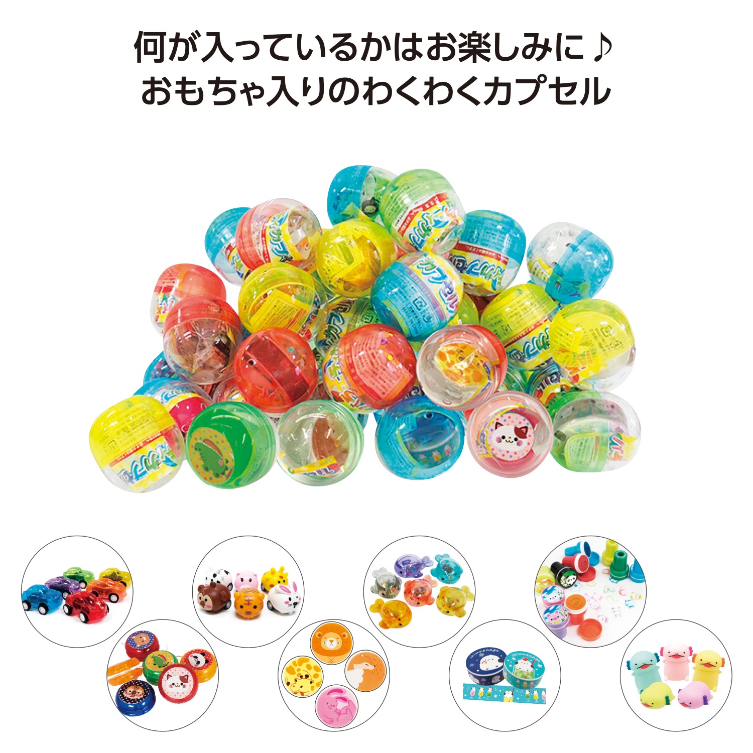 バラエティカプセル