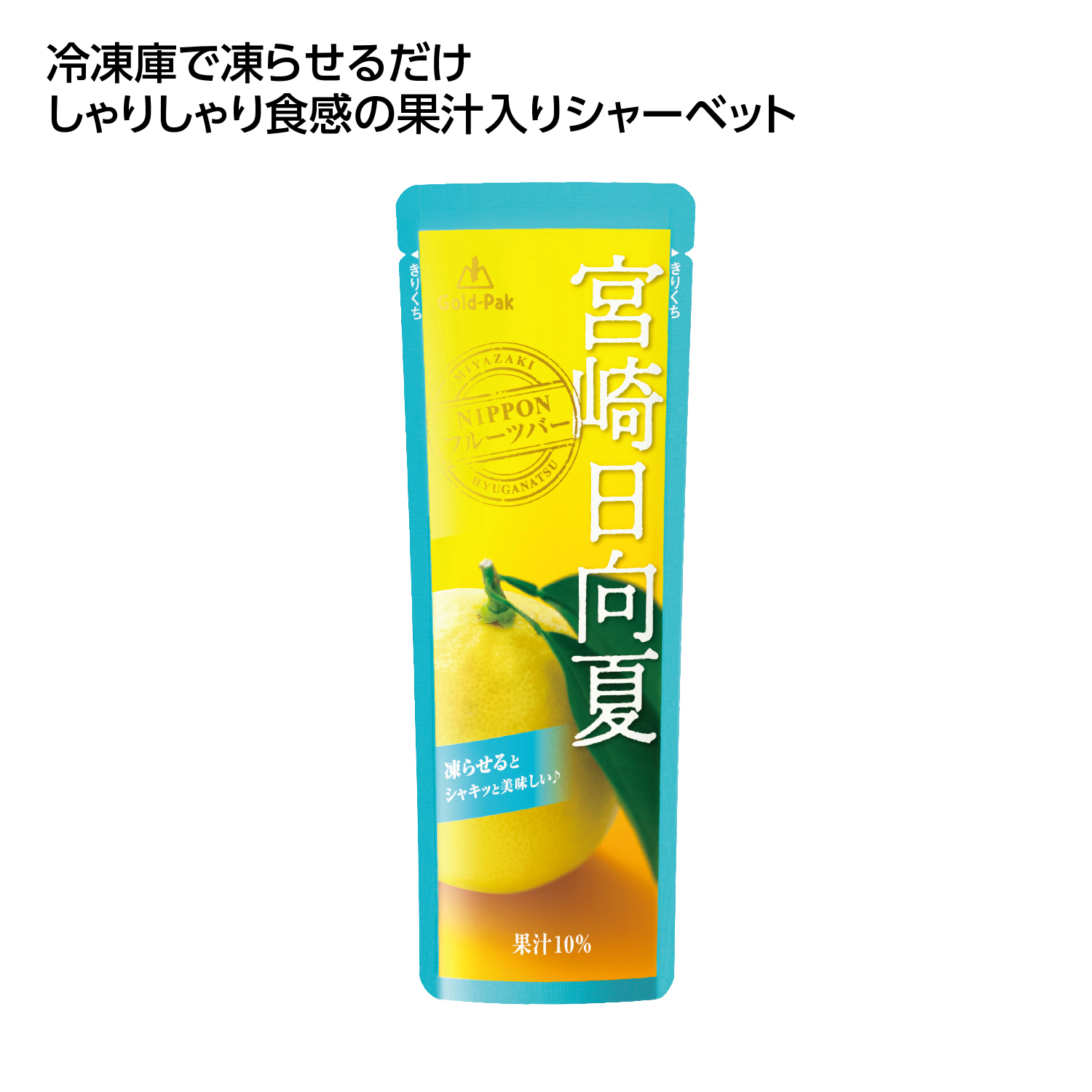 果汁入シャーベット 宮崎日向夏