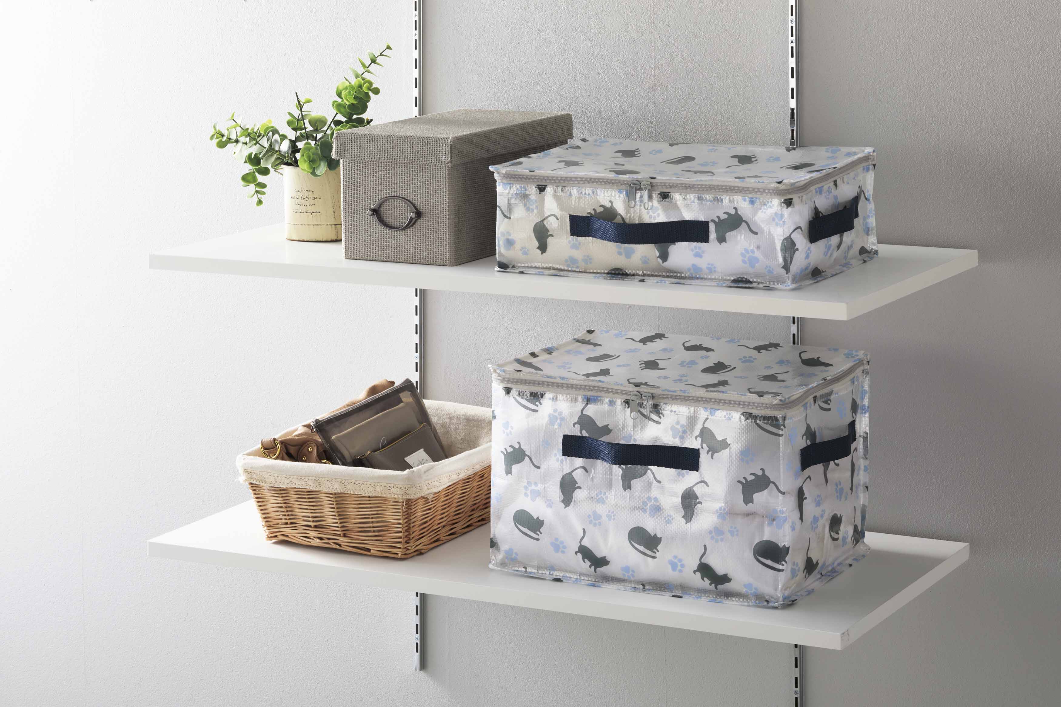 パッコ／クリア収納ボックスセット