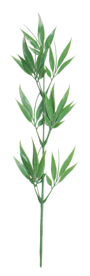 ニュー枝笹 55cm