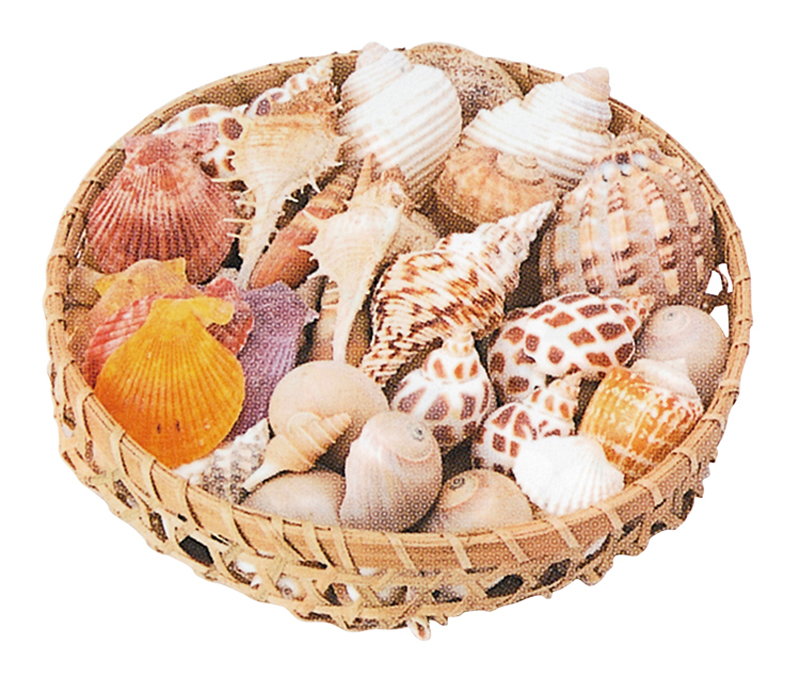 インテリアシェル 500g