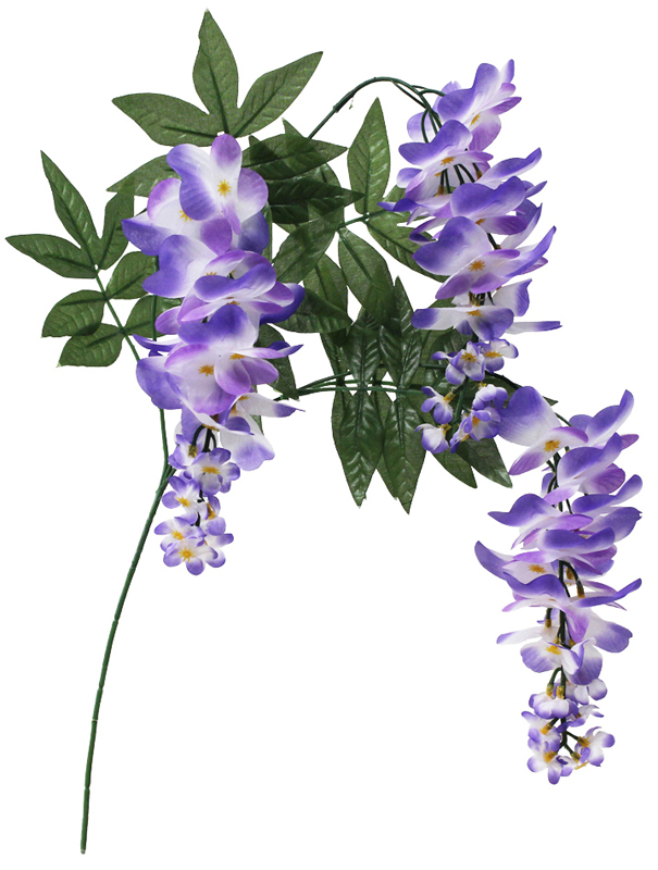 藤スプレイ3輪パープル