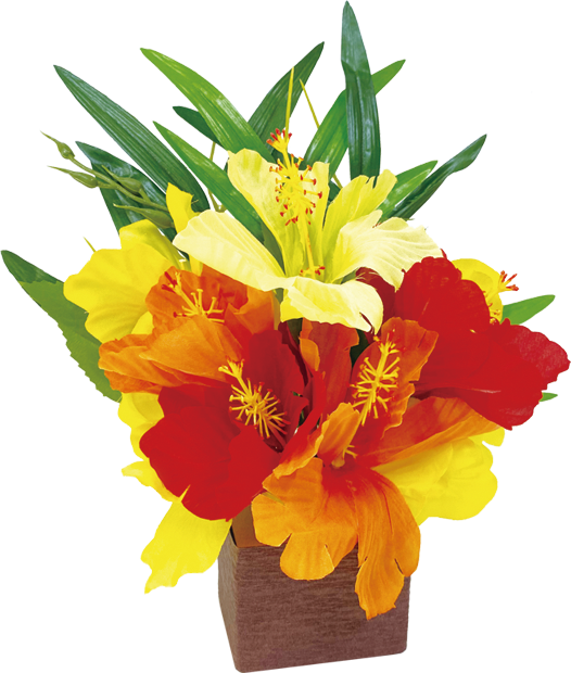 サマートロピカルPOP