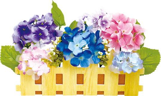 華やかアジサイ垣根