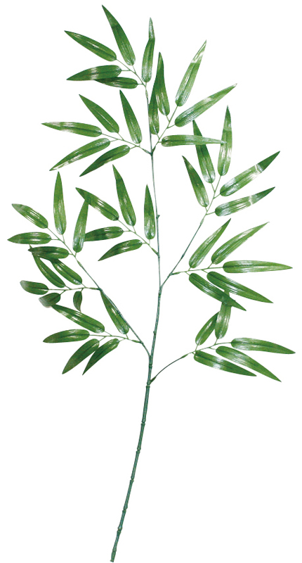 バンブースプレイ