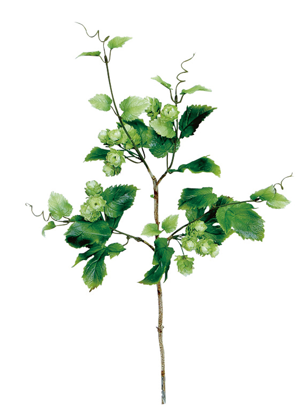 スプレイホップ