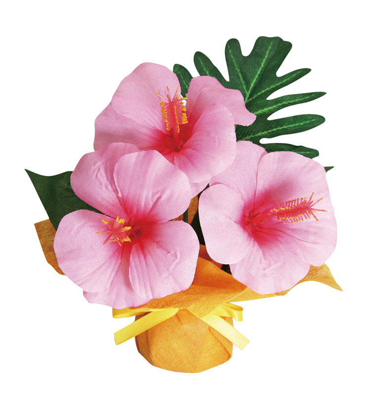 ミニミニポットハイビスカス ピンク