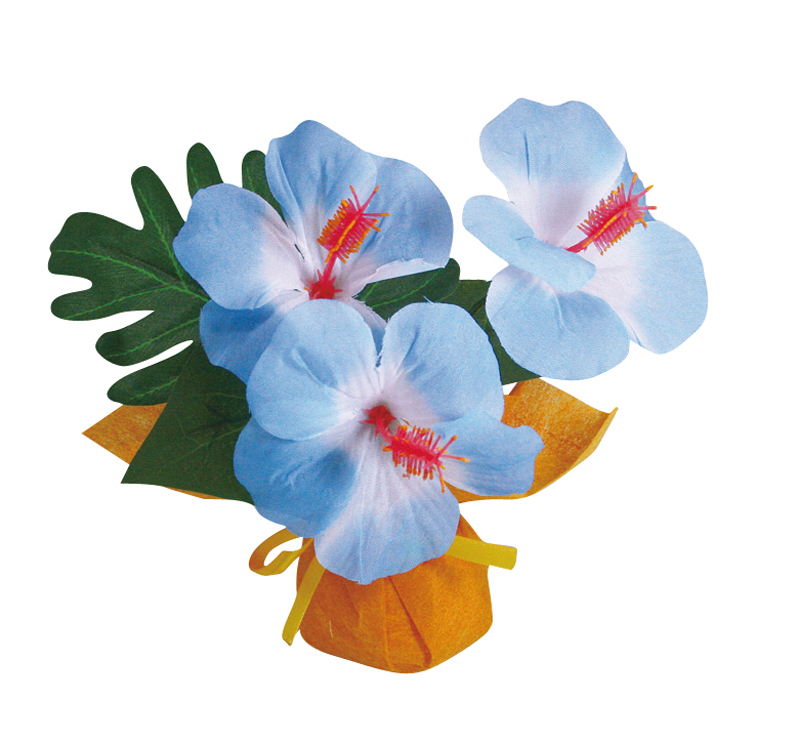 ミニミニポットハイビスカス ブルー