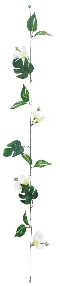 ショートガーランドプルメリア