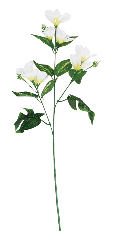 プルメリアスプレイ ホワイト