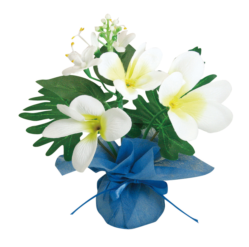 ミニミニポットプルメリア