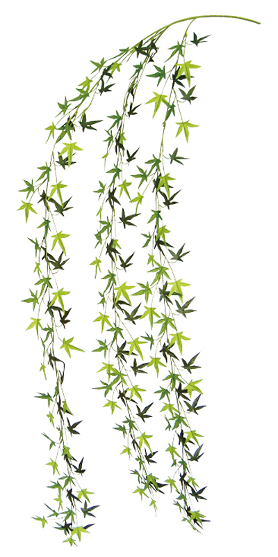 グリーンもみじバイン