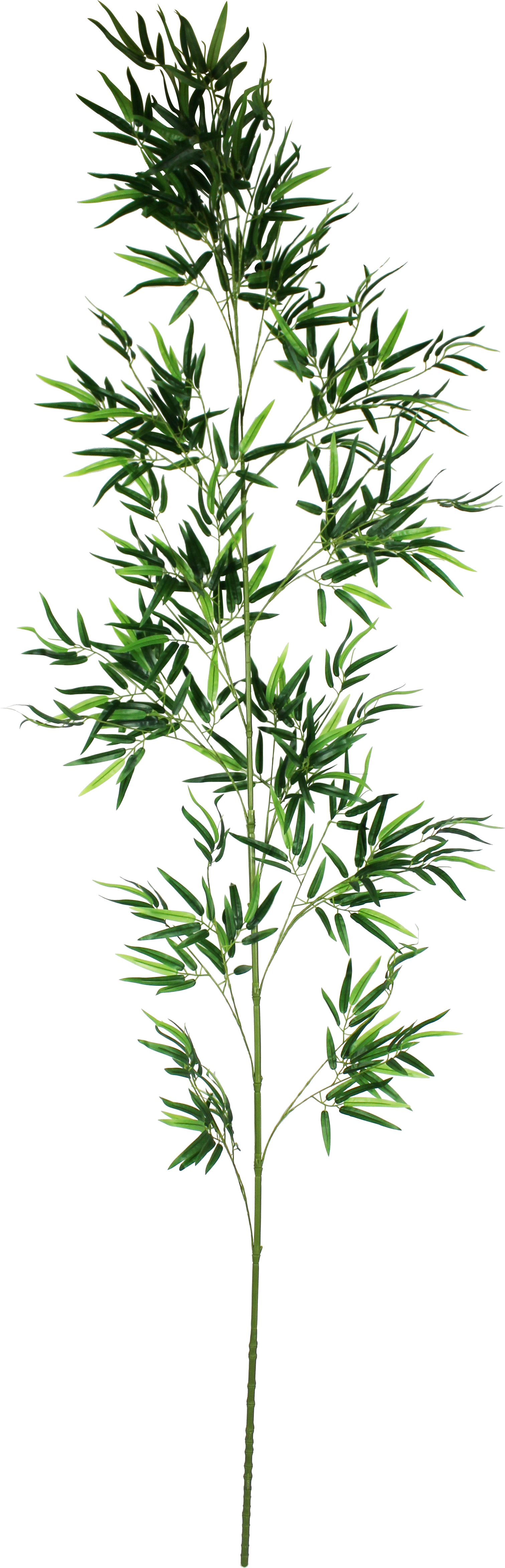 バンブーツリー240cm