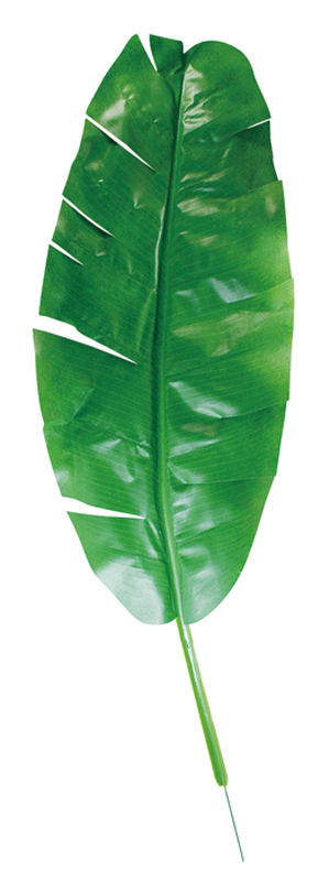 35インチバナナスプレイ