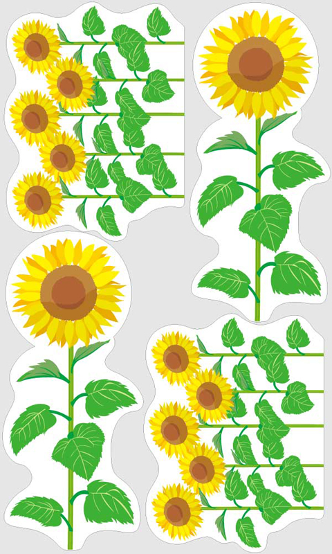 ウィンドウステッカー ひまわり